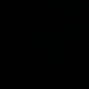 Meet your Posher, Laquita